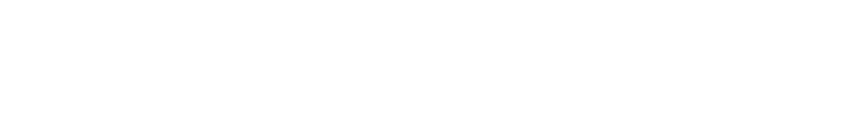 VideoWien Logo — Videograf Wien Gillian Scharf
