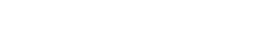 videowien Logo — Videograf in Wien seit 10 Jahren